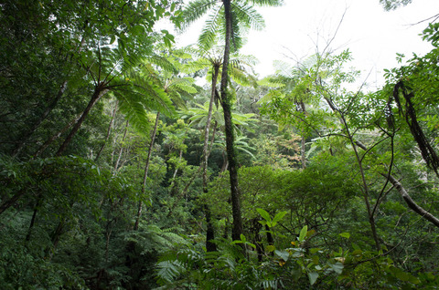 R0000972